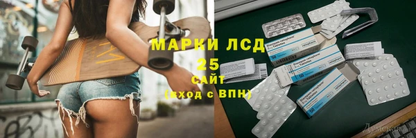 прущий лед Алзамай
