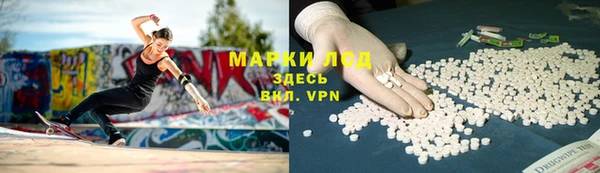 сатива Алексин