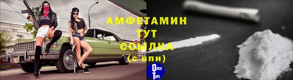 прущий лед Алзамай