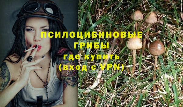 синтетический гашиш Алексеевка