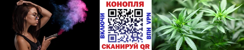 Бошки Шишки семена  Арамиль 